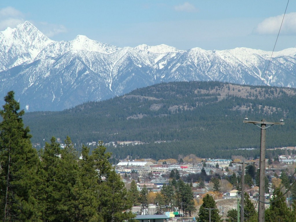 Cranbrook View
