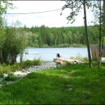 Cranbrook yard Natural, private and fun