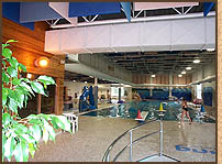 phpool Swimming Pool